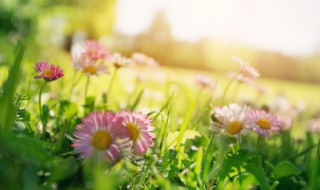 一月再见二月你好唯美早安心语（二月的第一天早安心语）