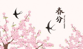 2022年春分是哪天 2022年几时几分打春