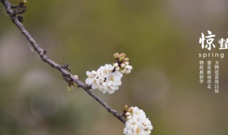 2022年惊蛰下雨好还是不下雨好（惊蛰天下雨好还是不下雨好）
