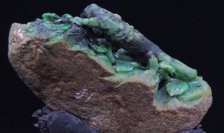 天然翡翠玉石（天然翡翠玉石多少钱）