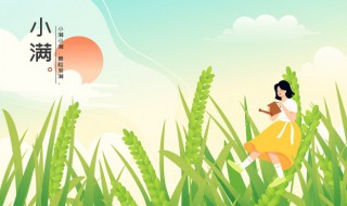 2022年小满是几点几分几秒（2020年小满是几点几分几秒）