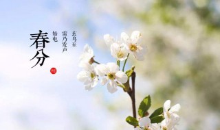 春分和惊蛰的区别是什么 惊蛰和春分是什么意思
