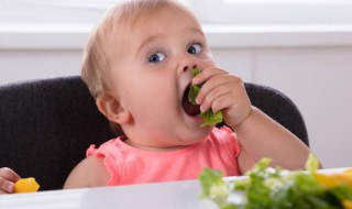 姓弘女孩名字有诗意（弘字辈女孩名字）