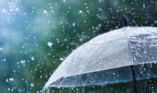 2022年惊蛰是第几个节气（24节气惊蛰2021）