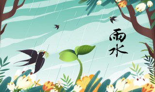 苏州雨水吃什么传统食物（苏州立冬吃什么传统美食）