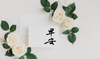 2022早安心语大全(早安心语2021最新)