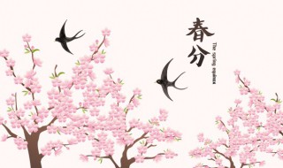 2022年春分是几月几日 2020年的春分是哪一天几月几号