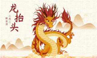 二月二龙抬头吃豆子寓意什么（二月二龙抬头吃的豆子叫什么）