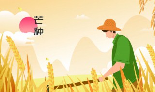 2022芒种节气的朋友圈祝福语 芒种节气祝福短信