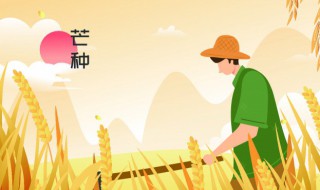 2022年芒种是几点几分几秒 2022年芒种是几月几号几点