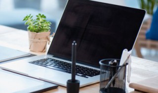 文艺简约的昵称有哪些（文艺清新的昵称）