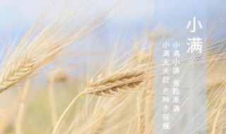 2022年小满日子结婚好吗（2022年小满适合结婚吗）