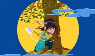 2022中秋典故吴刚伐的什么树 在“吴刚伐树”这个中秋节传说中,吴刚伐的是什么树?