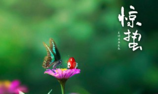 惊蛰代表着什么意思 惊蛰是什么意思