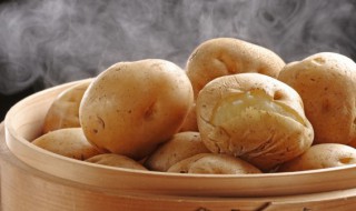 惊蛰时节的时候种什么蔬菜（惊蛰节气种什么蔬菜）