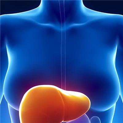 早期肝硬化能治好吗?