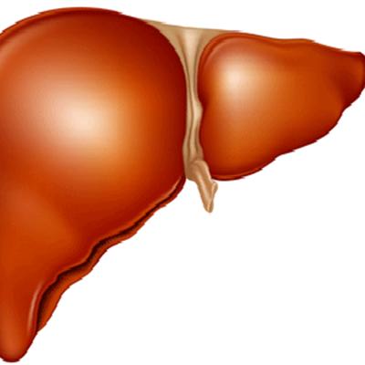 肝硬化早期症状有哪些