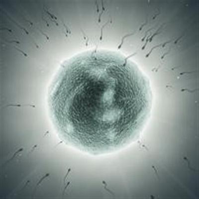 排卵期排出的卵子用肉眼能看到吗？