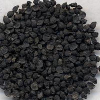 韭菜籽治疗早泄怎么样