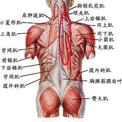 尿床是怎么回事