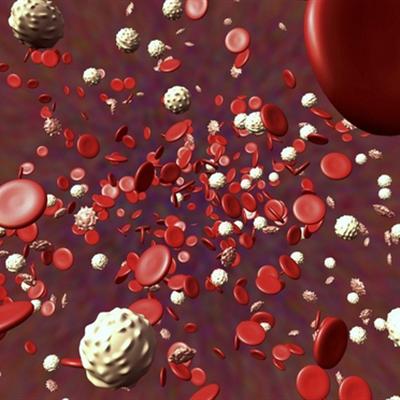 血小板低吃什么好