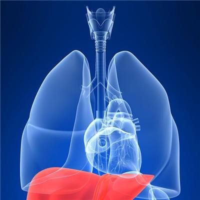 脂蛋白高说明什么