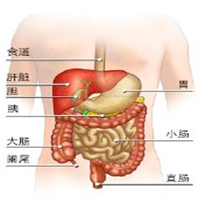 直肠癌化疗后的饮食要注意什么