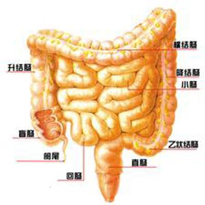 结肠炎早期症状有哪些