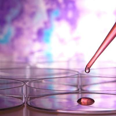 尿毒症一般能活多久