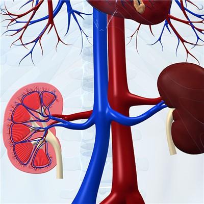 肾炎是怎么引起的