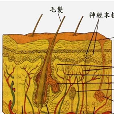 去痘印最有效的方法