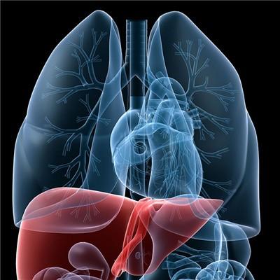 乙肝核心抗体阳性能做幼儿教师吗