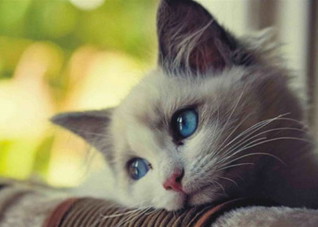 脚气总不好 8偏方根治脚气