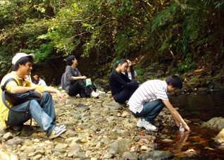 毒蛇咬伤应该应该如何护理？