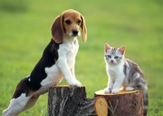 直肠炎需要怎么样预防？