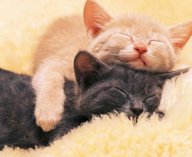 怎样做可摆脱嗜睡?