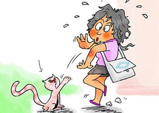 被动物咬伤后怎么办？