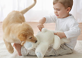 宝宝被宠物咬伤该如何处理