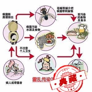 外出旅行工作的免疫接种问题