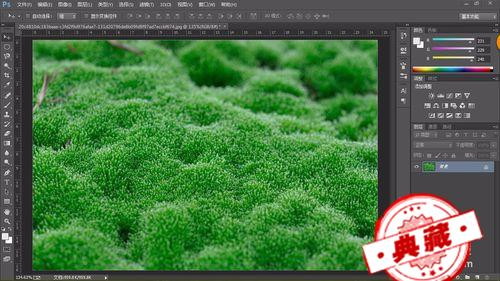 对于“癣”，你知道多少？