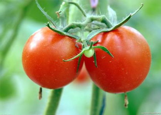 冬天减肥的几个方法