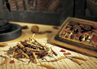 女人肾好更年轻 5个贴士补肾养肾葆年轻