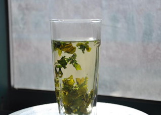 中药桑叶减肥茶女性的最爱