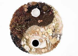 药膳的食用原则有“四则”