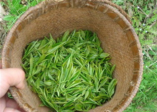 如何喝茶能喝出苗条身材?