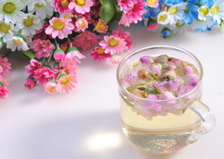 减肥有什么茶疗法