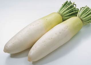 冬吃白萝卜降火止咳