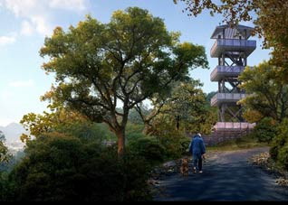  有利于降血压的行为有哪些