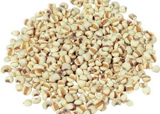 薏米利水肿效果赞