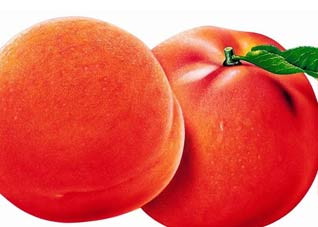 孩子暑假如何吃得健康？